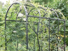 wrought-iron-trellis-arbor-2
