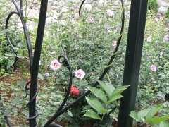 wrought-iron-trellis-arbor-3