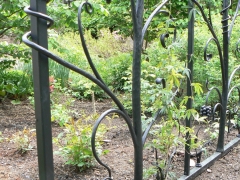 wrought-iron-trellis-arbor-5