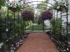 wrought-iron-trellis-arbor-6